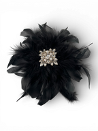 SPILLA PIUME