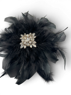 SPILLA PIUME